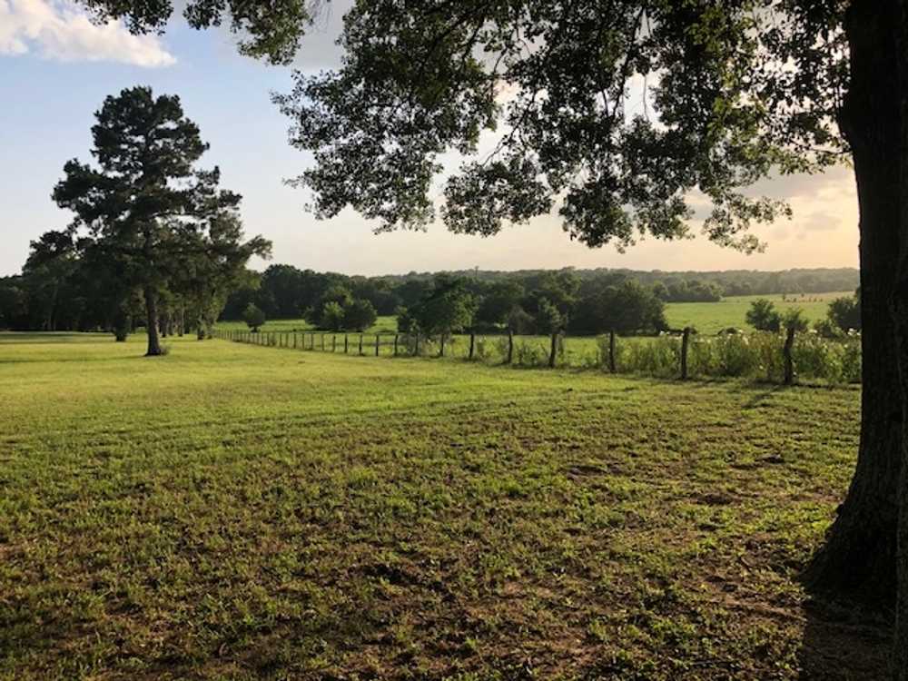Park Image 13