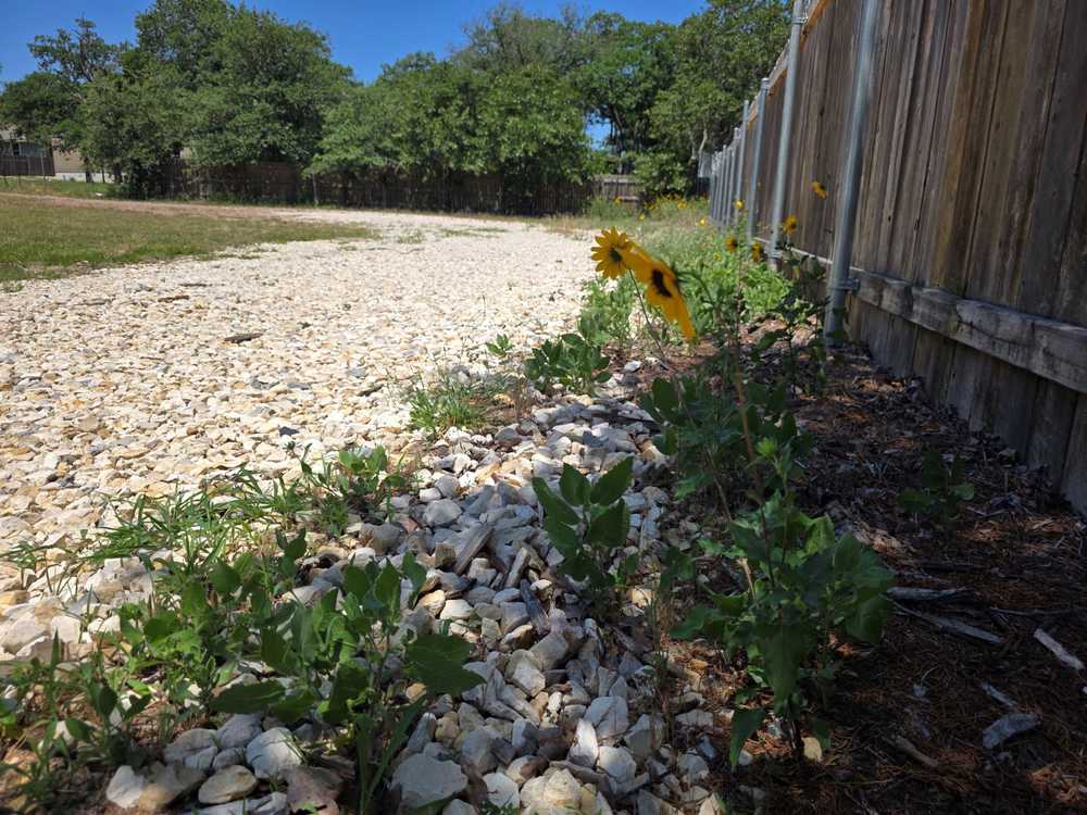 Park Image 13