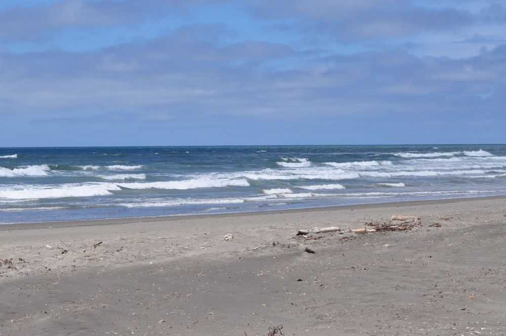 Screamin' Eagle Campground - Photo 2