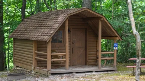 1-Room Rustic Cabin - Lower — image 1 of 5