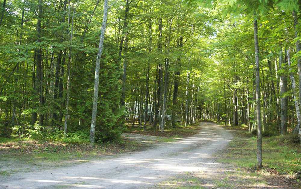 Baileys Woods Campground, Baileys Harbor, Wisconsin - Photo 4
