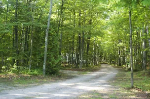 Baileys Woods Campground – photo 4