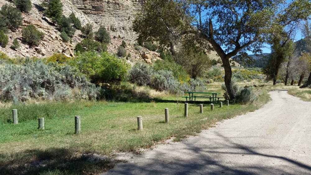 Nine Mile Ranch - Photo 5