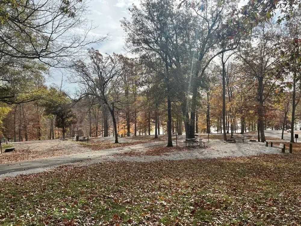 Cave Creek Campground - Falls of Rough, KY - Photo 2