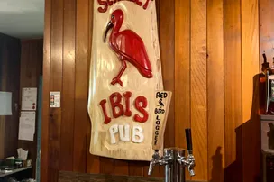 Scarlet Ibis Pub – photo 4