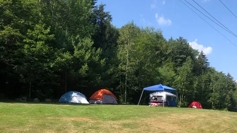 Open Grass Tent Site — image 1 of 2