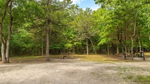 Basic RV/Tent Site — image 2 of 4