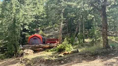 Primitive Tent Site - Single Tent — image 1 of 12