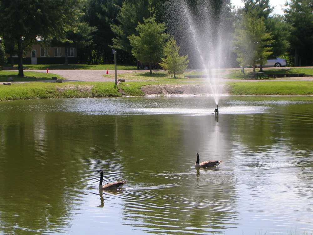 Seven Eagles Resort & Campground - Photo 3
