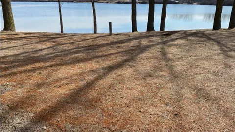 Waterfront Rustic — image 1 of 6