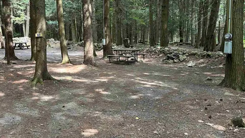 Pines Water and Electric Site — image 4 of 4