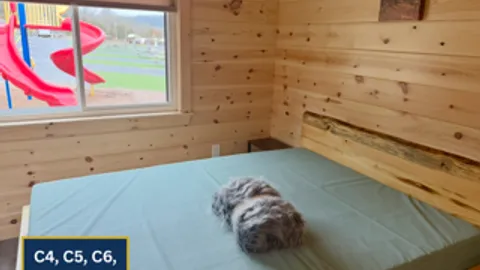 Deluxe Cabin — image 2 of 8