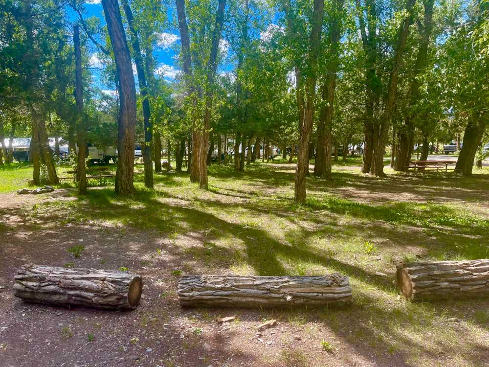 Silver Thread Basecamp South Fork, Colorado Campspot