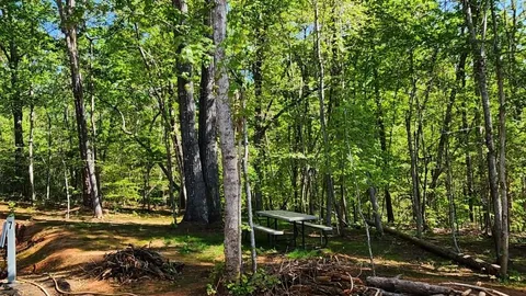 Campsite #7 RV/ Tent Site 45' x 18' Full Hookup  Occupied Full Time — image 2 of 5