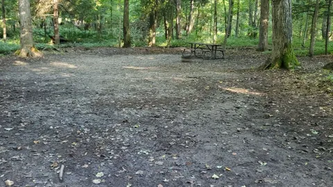 SBL Site 037 - Unserviced (T) — image 1 of 2