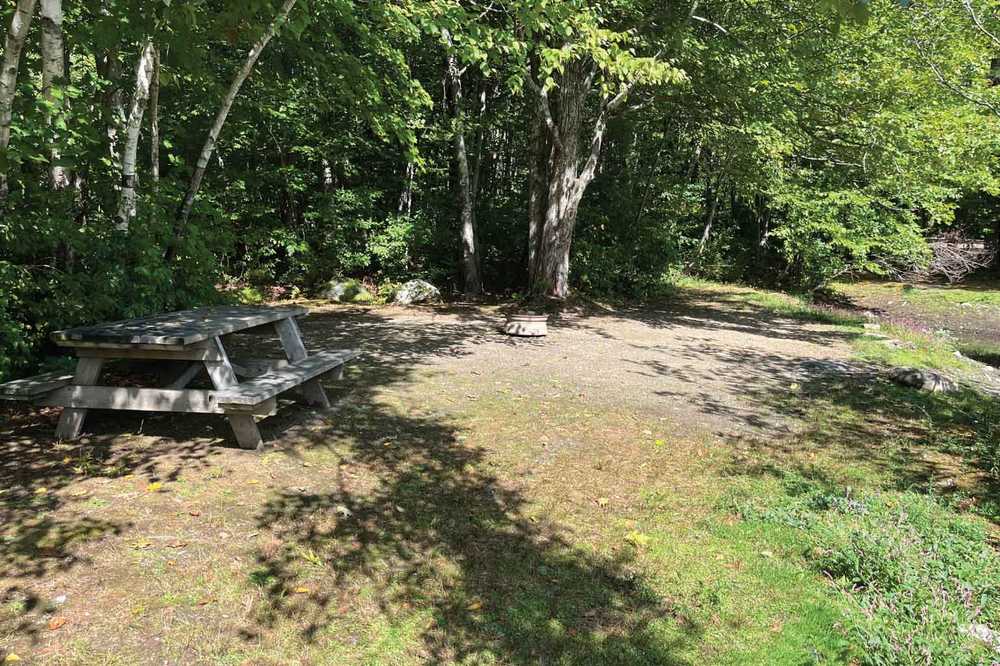 Premium Tent Site