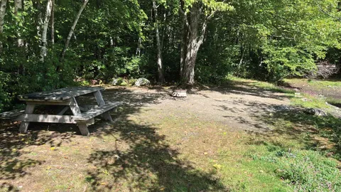 Premium Tent Site — image 1 of 6