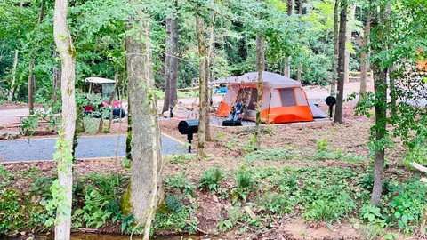 Premium Tent Site — image 1 of 4