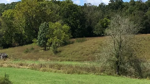 DRY Camping RV or TENT SITE — image 4 of 4