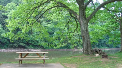 Waterfront Full Hookup RV Site — image 1 of 5