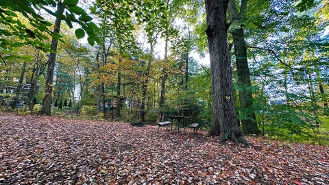 Bear's Trail / Tent Site / Walk-in Site / no power — image 3 of 3