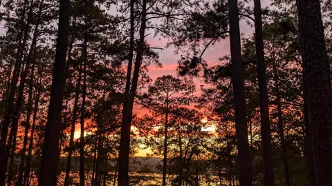 50 AMP Savannah River Waterfront Campsite — image 1 of 8