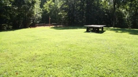 Primitive Back Country Group — image 1 of 1