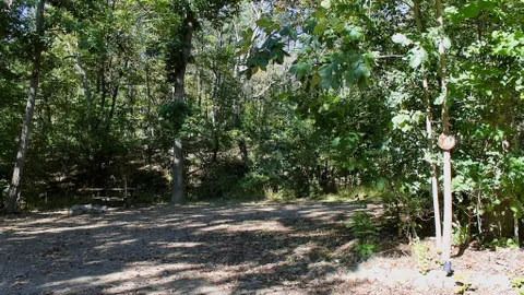 Primitive Site — image 5 of 5