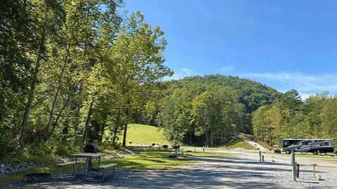 Premium Pull-Thru RV Site — image 1 of 4