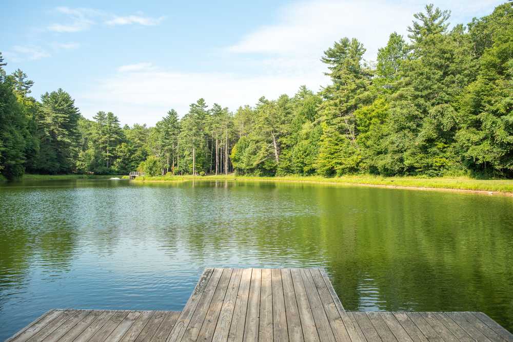 Trout Pond Fishing  Montebello Camping & Fishing Resort