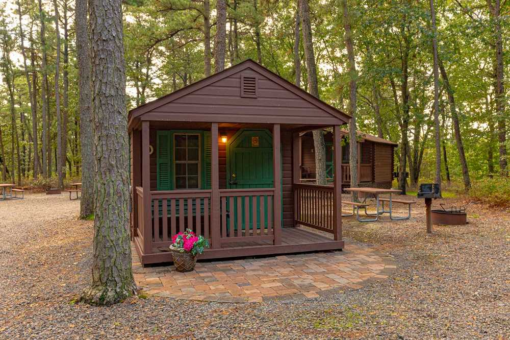 Small Cabin Rental D