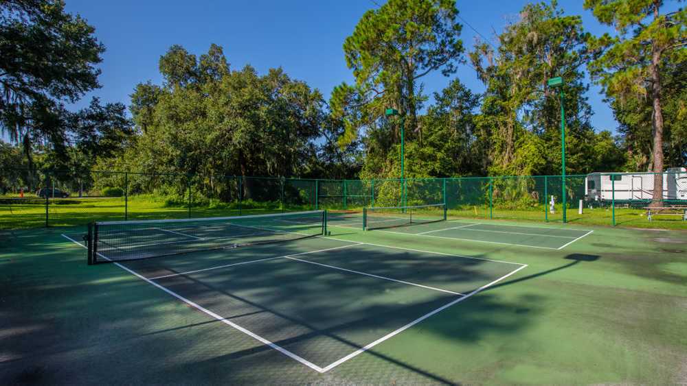 Tampa East - Photo 5