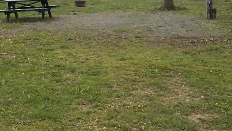 20/30 Amp River RV site — image 1 of 1