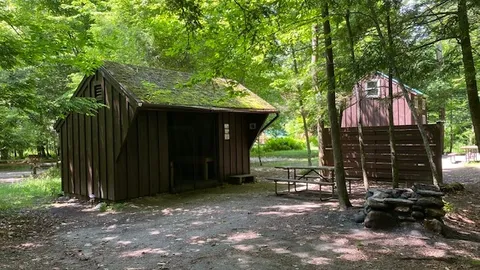 Lean-To on the River — image 1 of 4