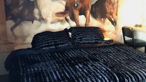 Wild & Free Motel — image 1 of 5