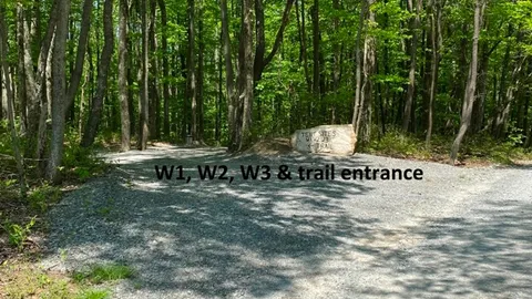 Wooded Primitive — image 1 of 4