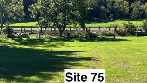 C. Field Sites — image 2 of 18