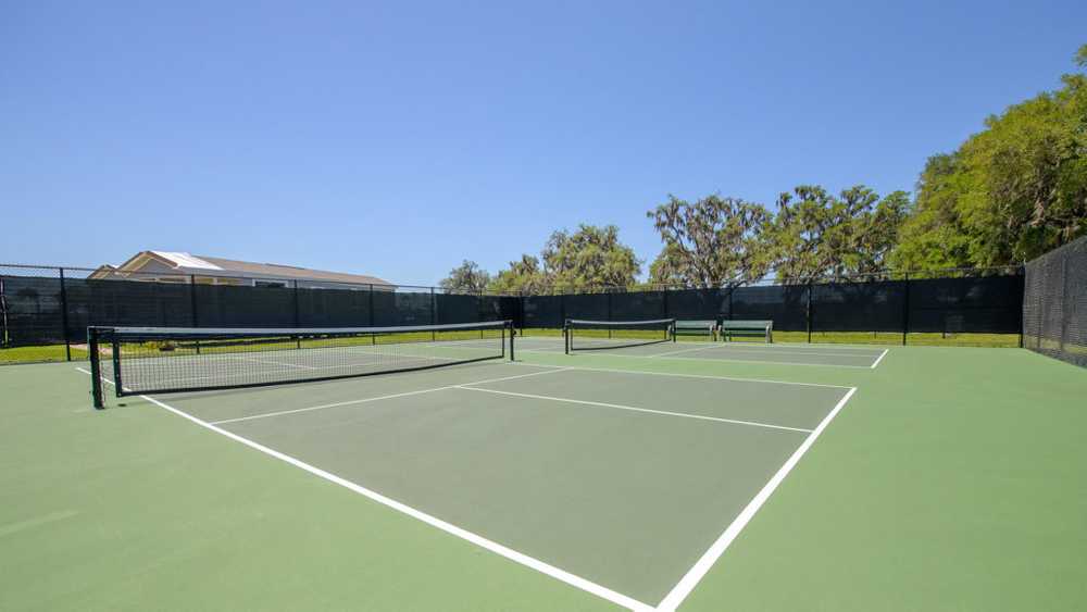 Majestic Oaks (Age Restricted 55+) - Photo 5