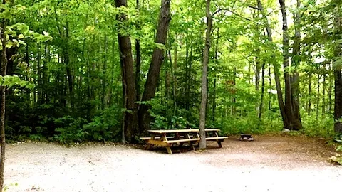 Premium Group — image 1 of 1