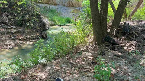 Creekside Tent Site — image 2 of 3