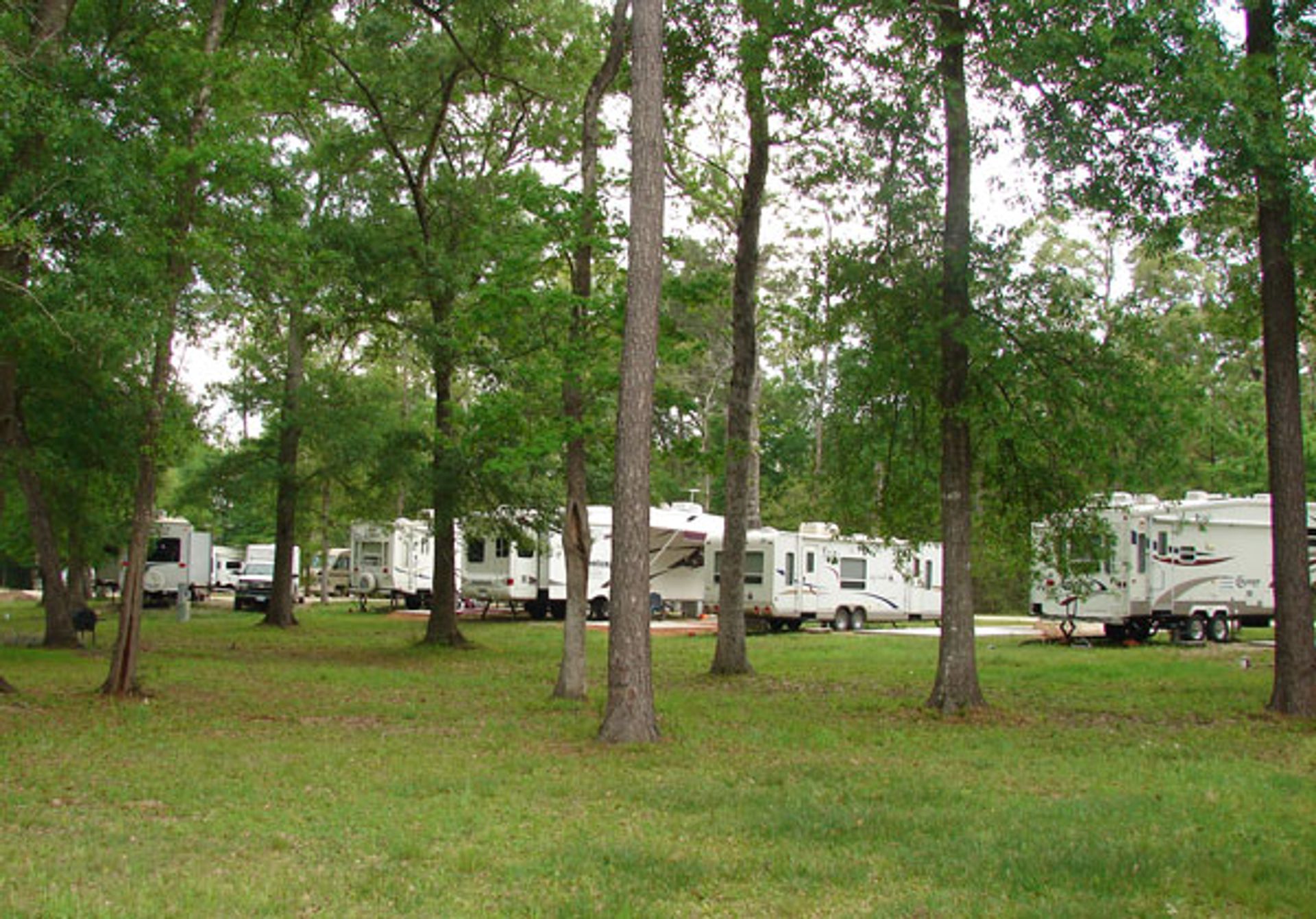 Timber Ridge RV Village, Magnolia, Texas