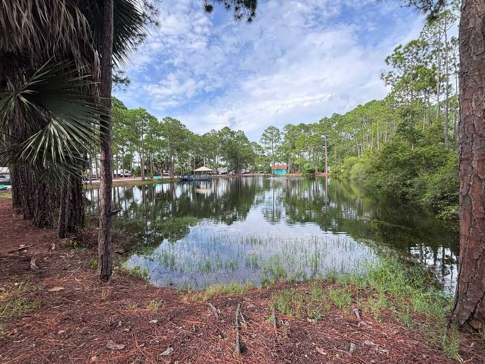 Park Image 14