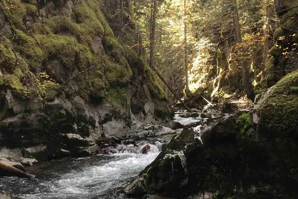 Gold Panner Campground – photo 1