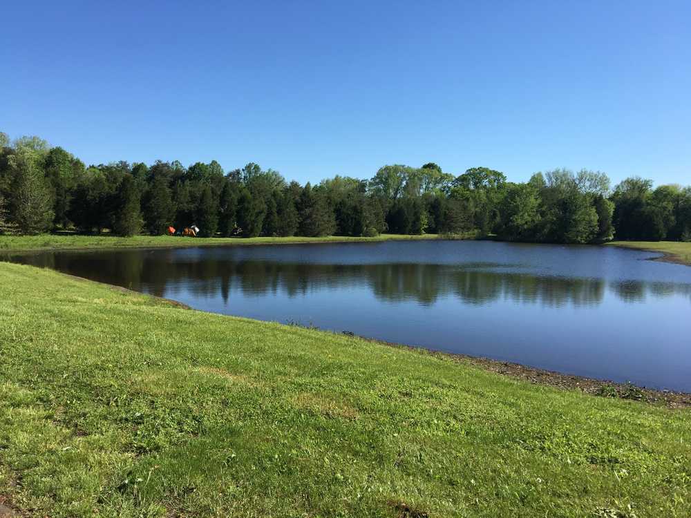 Park Image 5