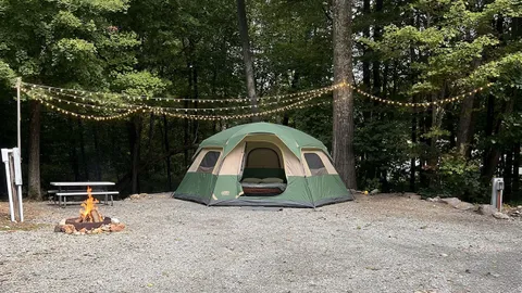Classic Back-In/Tent RV Site — image 4 of 4