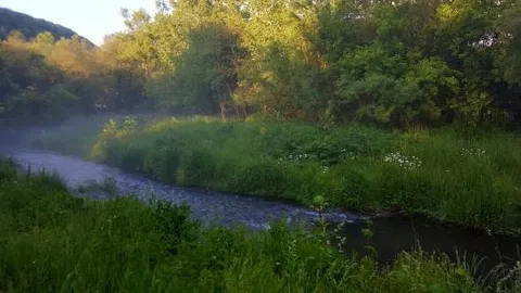 Tent Site - Trout Stream — image 2 of 2