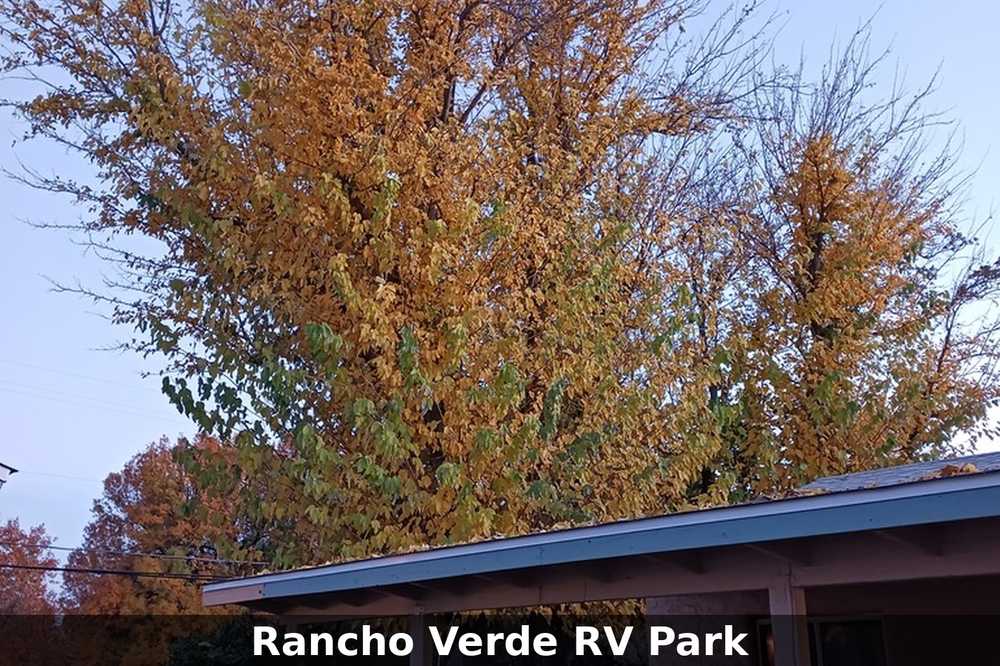 Rancho Verde RV Park, Camp Verde, Arizona - Photo 3
