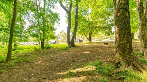 Tent Site — image 1 of 3