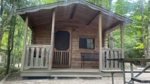 Cabin- Two Room, Brook Front — image 2 of 8