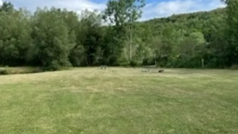 Waterfront Tent Site — image 1 of 3